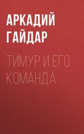 Тимур и его команда